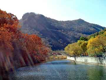 新澳天天开奖资料大全旅游团，日本同步带